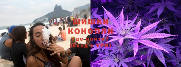 ПСИЛОЦИБИНОВЫЕ ГРИБЫ Арсеньев