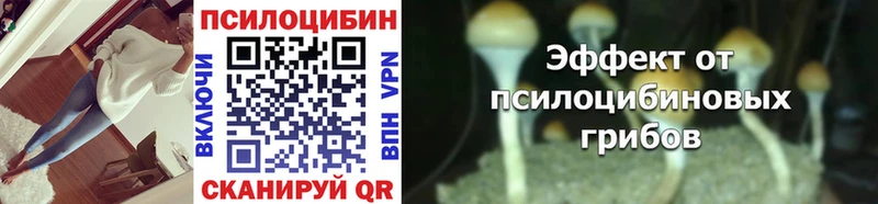 даркнет состав  ссылка на мегу tor  Лахденпохья  Псилоцибиновые грибы Magic Shrooms 